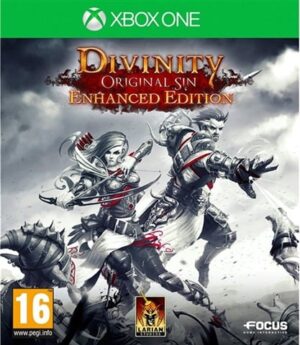 Divinity Original Sin: Enhanced Edition